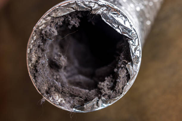 Best Emergency Air Duct Cleaning  in Flourtown, PA